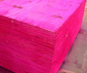 Madeirite Resinado Fenólico
